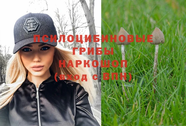 ALPHA PVP Алексеевка
