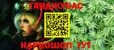 индика Можайск