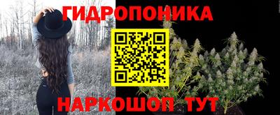 индика Можайск