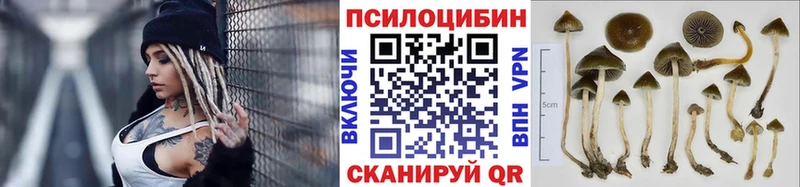 OMG ССЫЛКА  Чебаркуль  Псилоцибиновые грибы мухоморы 