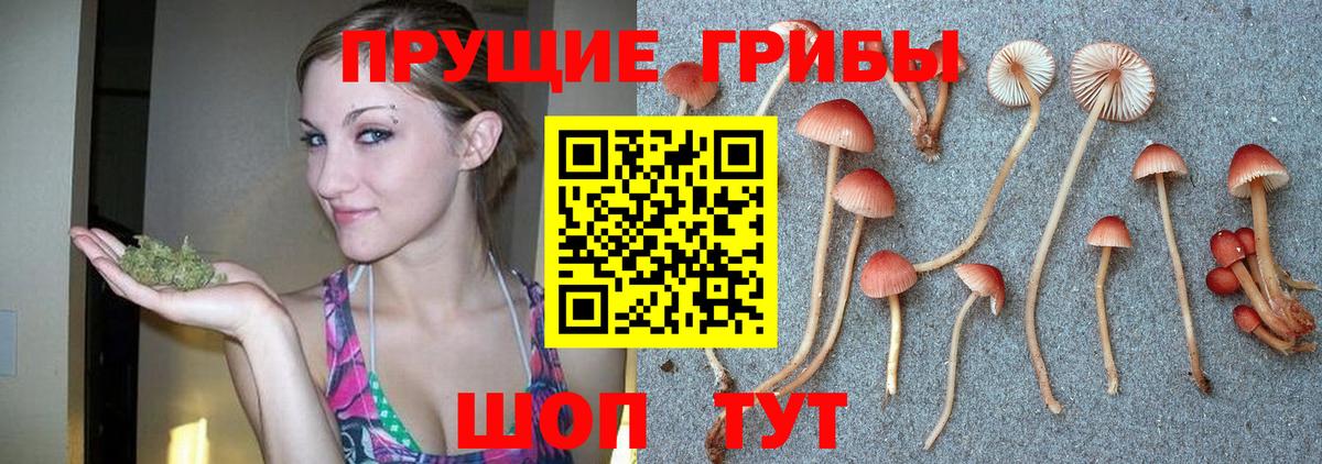 Псилоцибиновые грибы прущие грибы  наркотики  Вход с VPN  Чебаркуль  Псилоцибиновые грибы мухоморы 
