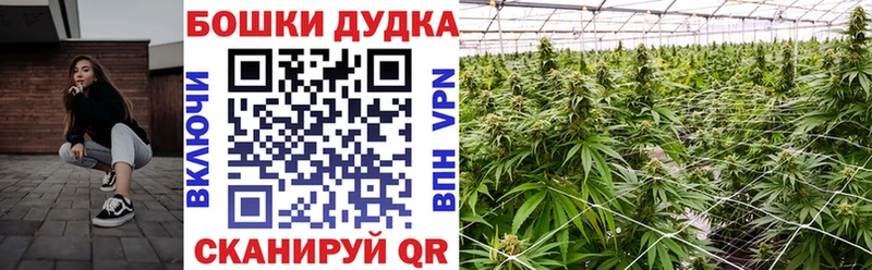 Марихуана SATIVA & INDICA  наркошоп  Чебаркуль 